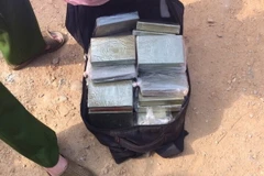 Ảnh chỉ có tính minh họa. (Nguồn: TTXVN)