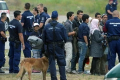 Những người tị nạn chờ để được đưa tới trại tị nạn mới tại làng Roszke, khu vực biên giới Hungary-Serbia. (Nguồn: AFP/TTXVN)