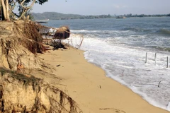 Hàng loạt vụ sạt lở đất ở Cà Mau gây nhiều thiệt hại 