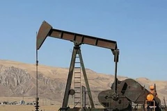 Ai Cập tăng mạnh giá nhiên liệu để giảm thâm hụt ngân sách