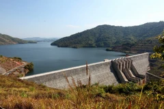 Thả bổ sung 78.000 con cá giống vào lòng hồ thủy điện Sơn La