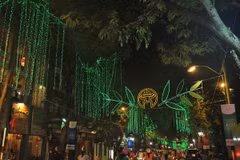 Hà Nội chỉnh trang đô thị đón Xuân Giáp Ngọ 2014
