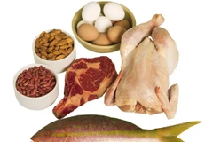 Ăn giàu đạm động vật làm tăng nguy cơ bị ung thư