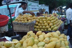 Trái cây Việt Nam. (Ảnh minh họa. Nguồn: PV/Vietnam+)