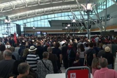 Sây bay Sydney náo loạn vì... một hành khách mải mê với iPad