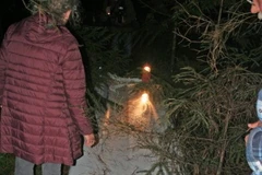 Phát hiện nhiều mảnh máy bay ở cánh rừng gần Frankfurt