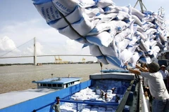 Sri Lanka sẽ nhập 100.000 tấn gạo để đảm bảo nguồn cung