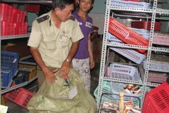 Bình Dương phát hiện và thu giữ 128.000 băng đĩa lậu