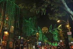 Hà Nội chỉnh trang đô thị đón Xuân Giáp Ngọ 2014