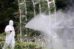 Thêm nhiều ca nhiễm mới bệnh sốt xuất huyết ở Nhật Bản