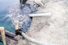 Tây Ninh đình chỉ các cơ sở chế biến gây ô nhiễm môi trường