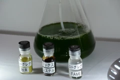 UNCTAD khẳng định tầm quan trọng của nhiên liệu sinh học 