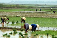 Nam Bộ nắng nóng kéo dài, Bắc Bộ thời tiết ấm lên