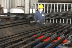 Bài học kinh nghiệm từ vụ điều tra chống bán phá giá đầu tiên