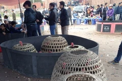 Nghệ An tạm giữ 94 đối tượng tham gia chọi gà đánh bạc