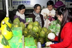 Khai mạc Hội chợ Nông nghiệp và Thương mại vùng Đông Bắc