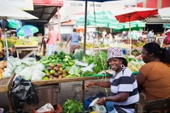 ECLAC: Tăng trưởng kinh tế Mỹ Latinh thấp nhất trong vòng 5 năm