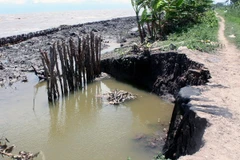 Kiên Giang đầu tư gần 390 tỷ đồng xây tuyến đê biển qua Rạch Giá