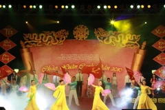 Nhiều hoạt động văn hóa, nghệ thuật chào xuân mới