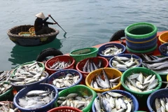 Xử lý nghiêm hành vi dùng chất nổ, xung điện khai thác thủy sản