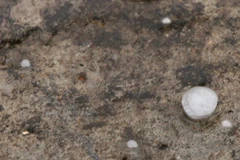 Mưa đá kèm theo lốc tố mạnh "tấn công" Lào Cai 