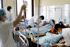 Trên 56% ca sốt xuất huyết dengue được ngừa bởi vắcxin thử nghiệm