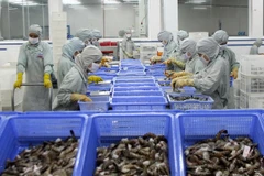 Nỗ lực đáp ứng tiêu chuẩn xuất khẩu vào thị trường EU