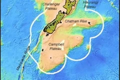 New Zealand phản đối tàu Nhật Bản đi vào vùng EEZ