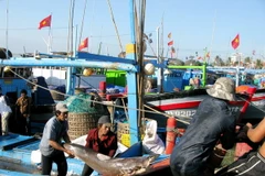 (Ảnh minh họa: TTXVN)