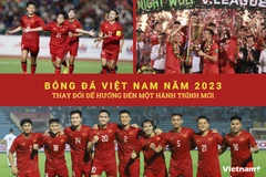 Năm 2023 là một năm nhiều dấu ấn của Bóng đá Việt Nam. (Ảnh: Vietnam+)