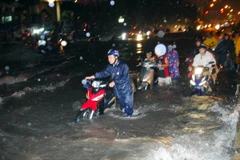 (Ảnh minh họa: Mạnh Linh/TTXVN)