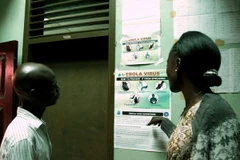 WHO xác nhận hơn 930 trường hợp tử vong do dịch Ebola