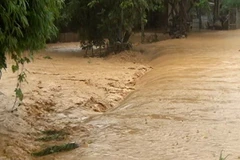 Lào Cai: Một người bị lũ cuốn mất tích khi đang đánh bắt cá