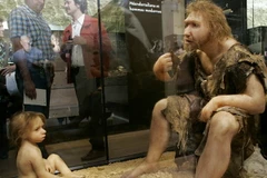Đi tìm lời giải cho sự biến mất của người cổ đại Neanderthal