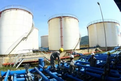 Giữ ổn định thuế nhập khẩu xăng dầu từ nay đến cuối năm