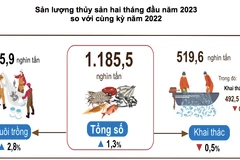 (Ảnh: PV/Vietnam+)