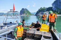 Đồn Biên phòng Quan Lạn bắt giữ tàu vận chuyển trái phép gia cầm. (Ảnh: Vietnam+)