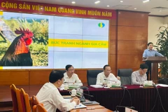 (Ảnh: PV/Vietnam+)