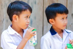 UNICEF khuyến nghị Việt Nam cần xác định các cơ chế nguồn tài chính bền vững để đảm bảo tất cả trẻ em mắc suy dinh dưỡng cấp tính. (Ảnh: PV/Vietnam+)