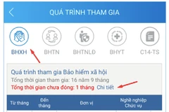 Ứng dụng sẽ gửi thống báo về thời gian chậm đóng, trốn đóng bảo hiểm xã hội. (Ảnh: PV/Vietnam+)