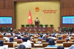 Quốc hội thông qua Luật Đấu thầu (sửa đổi).( Ảnh: Doãn Tấn/TTXVN)