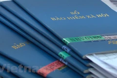  (Ảnh minh hoạ: PV/Vietnam+)