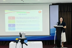 Hội thảo tham vấn của Ủy ban Thúc đẩy và Bảo vệ quyền của phụ nữ và trẻ em trong ASEAN.(Ảnh: PV/Vietnam+)