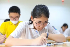 (Ảnh: PV/Vietnam+)