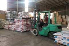 Công ty cổ phần Công nghệ Hà Lan đã tiếp cận được chương trình hỗ trợ lãi suất 2%/năm theo Nghị định 31. (Ảnh: Vietnam+)