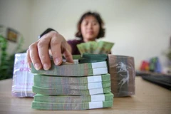 Dự báo nợ xấu gộp có thể ở mức 6%. (Ảnh: Vietnam+)