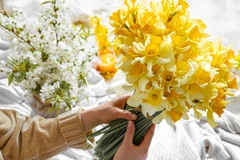 Ảnh minh họa. (Ảnh: Vietnam+)