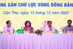 Các đại biểu tại hội nghị. (Ảnh: CTV/Vietnam+)