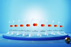 VIB phá kỷ lục của các đối tác Mastercard tại Việt Nam và trong khu vực. (Ảnh: Vietnam+)