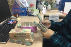 Ảnh minh họa. (Ảnh: CTV/Vietnam+)